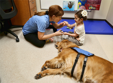 CONTRIBUTO PER CORSO DI MUSICOTERAPIA E PET THERAPY (COD.RIF.W.3)